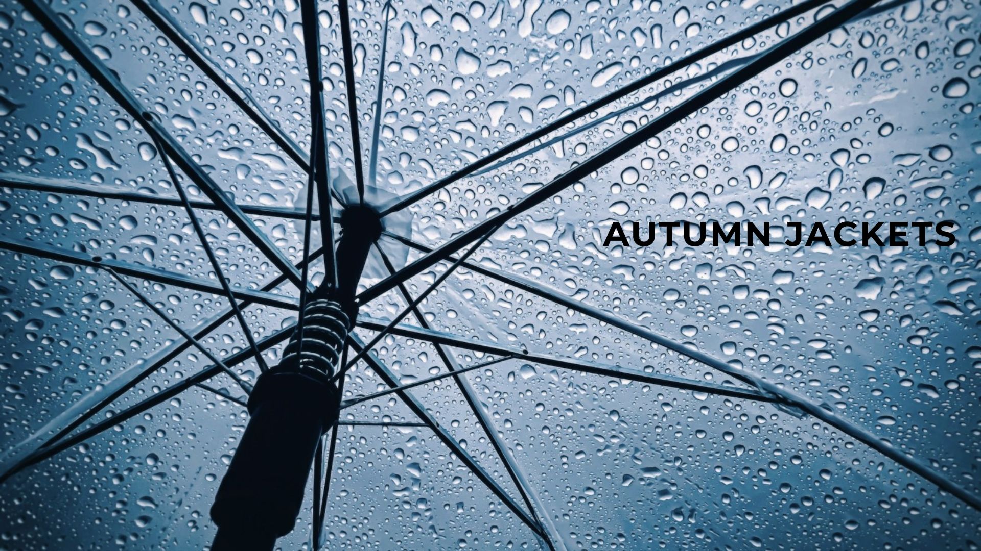 autumn jackets title